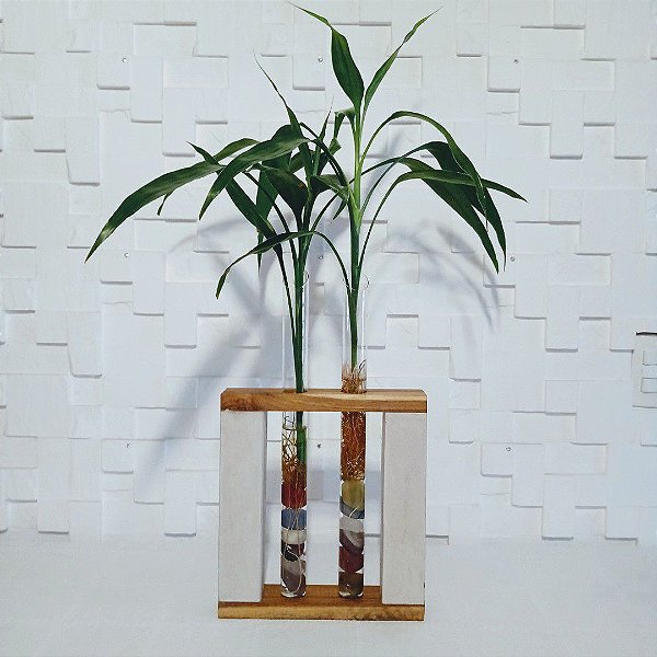 Bambu da sorte  com suporte rústico