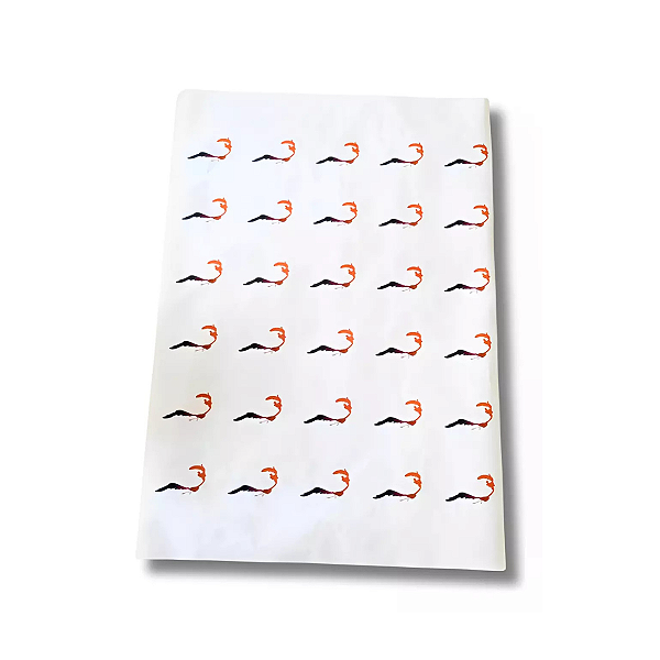 Papel Seda Personalizado 30X60  50g 100 Folhas