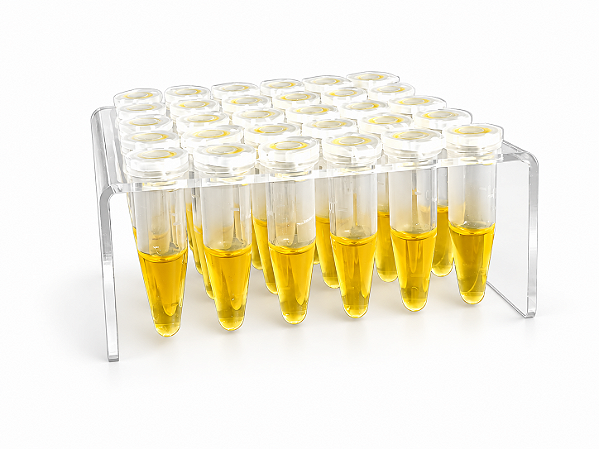 Suporte Para Tubos De Teste De Urease 30 Posições