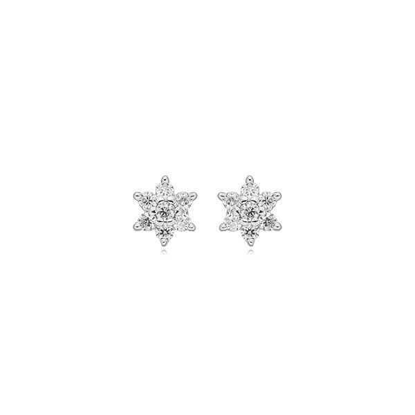 Brinco Elaine Palma mini flor moissanite prata 925