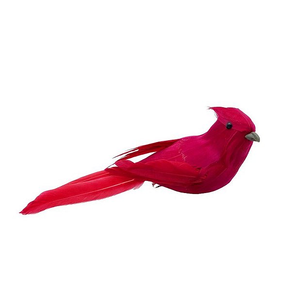 Cardeal Vermelho em Penas - Pássaro de Natal