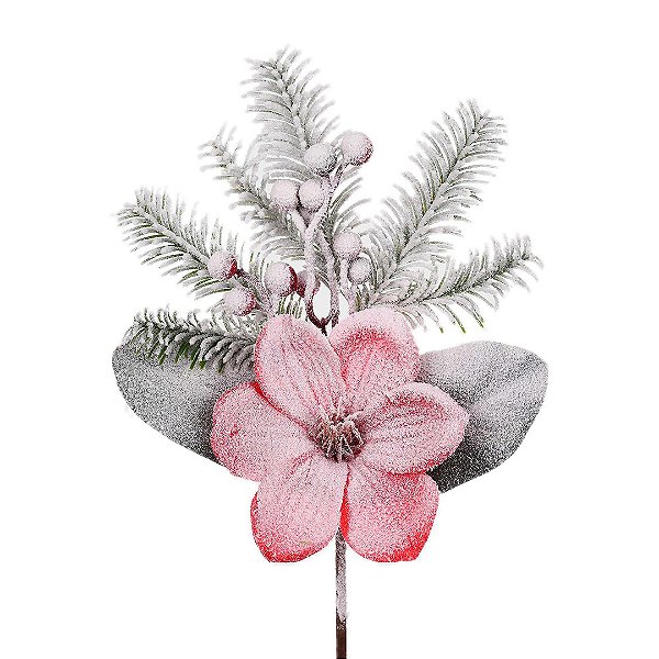 Heléboro Vermelho Nevado com Berry