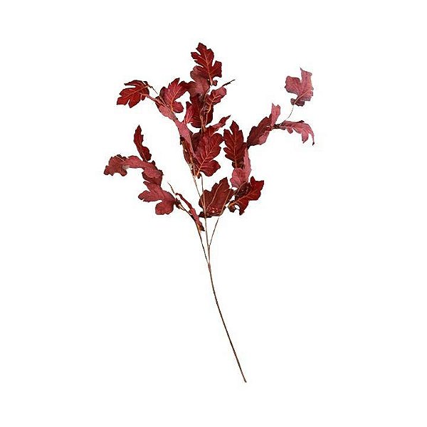 Galho Maple Vermelho Permanente