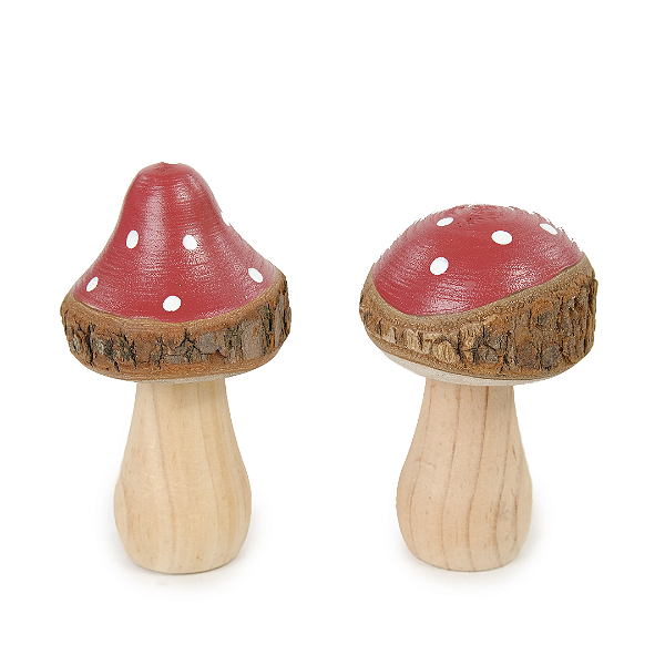 Dupla de Cogumelos em Madeira