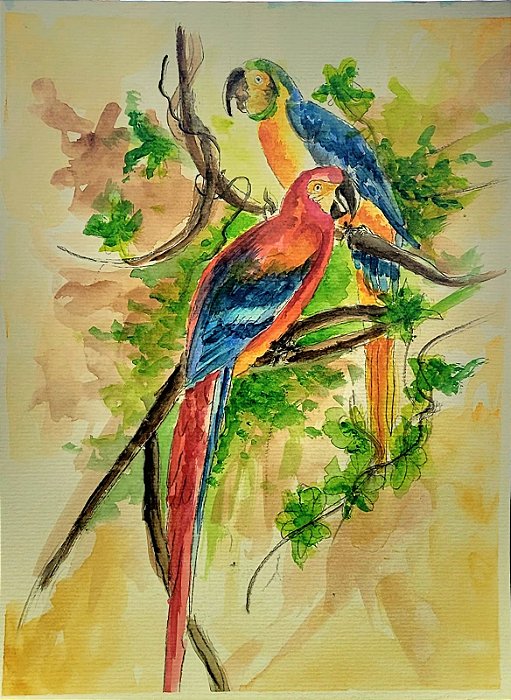 Aquarelas Araras com coloração vibrante