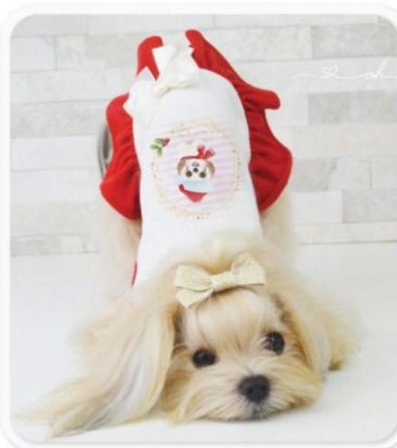 Vestidinho dog Natal