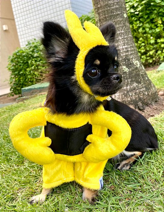 Fantasia de bracinho Teletubbies