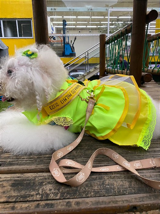 Vestido Rainha do Milho