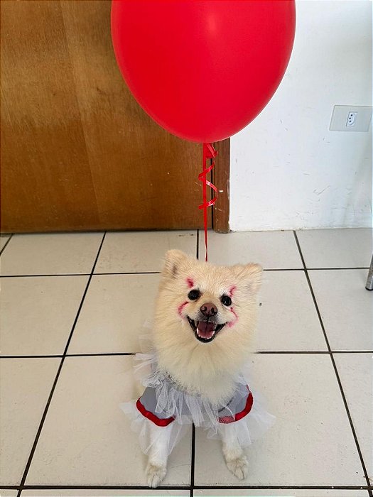 Fantasia It para pet