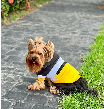 Jaqueta Puffer para pet