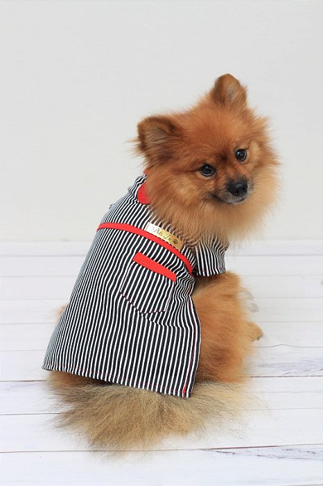 Camisa Lord