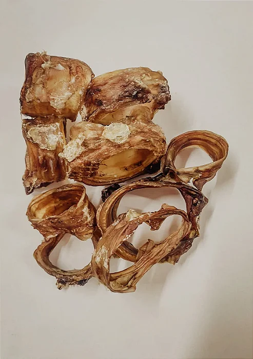 Mini Traqueia Bovina