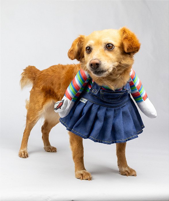 Fantasia engreçadas para pet Tifany