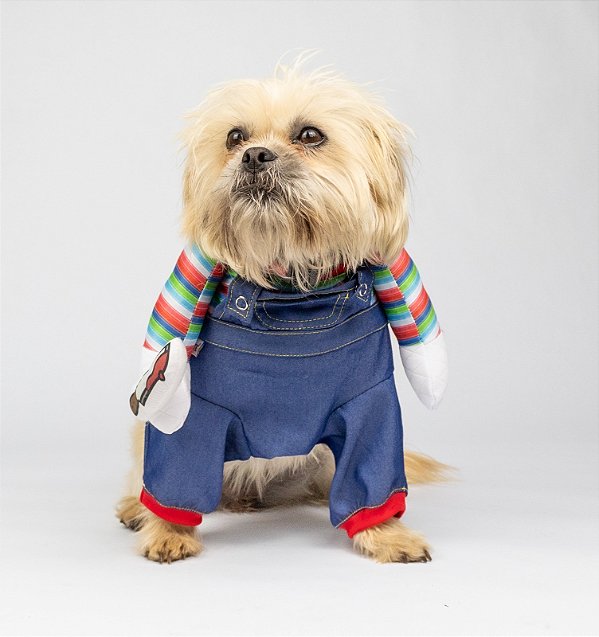 Fantasia engreçada para pet  Chuck