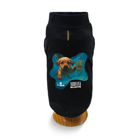 Camiseta Rock Dollar