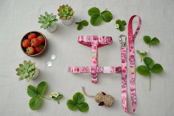 Peitoral H Moranguinho