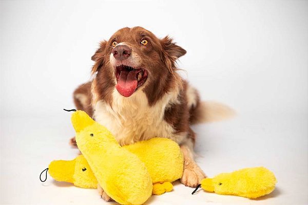 Pelúcia Pato com Apito e Som