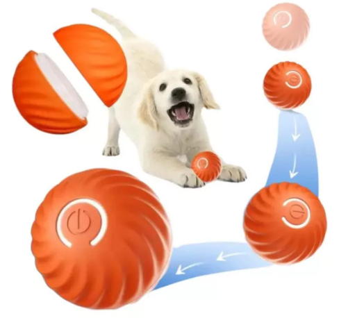 BOLA MOTION PULA-PULA