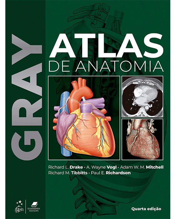 Gray Atlas de Anatomia 4ª Edição 2026