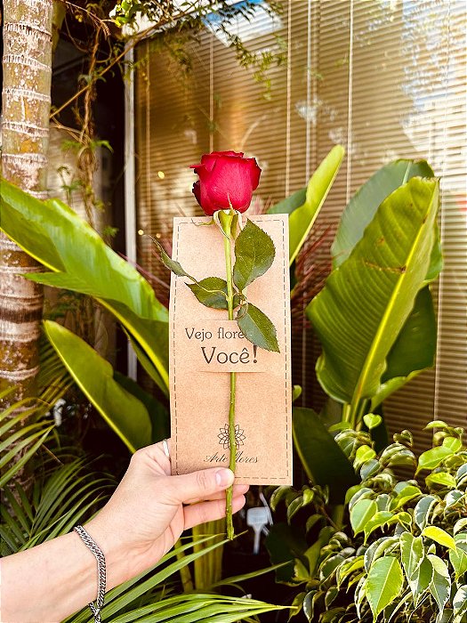 Eu vejo flores em você