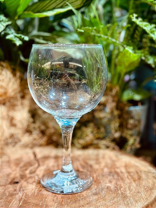 Taça de Gin