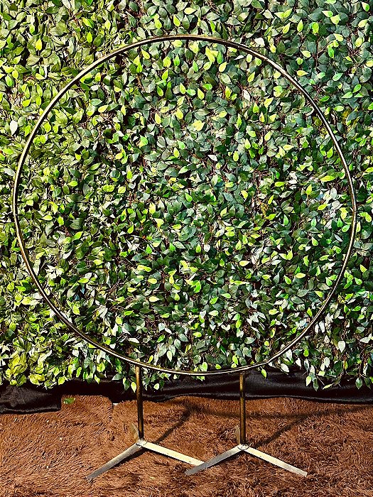 6211 Arco ferro com pé