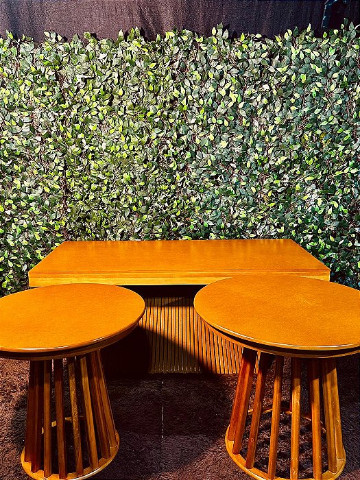 4934 Mesa ripada - trio