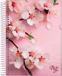 Caderno Capa Dura Jandaia 12X1 Univ Esp 240 Folhas Paz R.46253