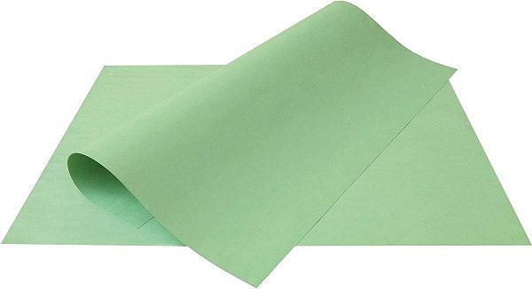 Cartolina Comum Verde 50cm x 66cm Unidade