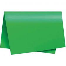 Cartolina Dupla Face Verde 48cm x 66cm Unidade