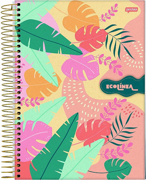 Caderno Espiral Universitário Capa Dura Sortida Jandaia Eco Linea 20cm x 27cm 10 matérias 160 folhas R.69008 Unidade