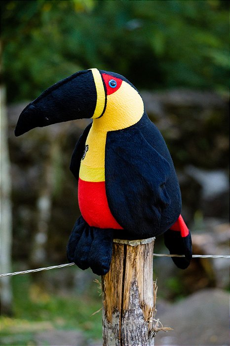 Pelúcia Tucano-de-bico-preto