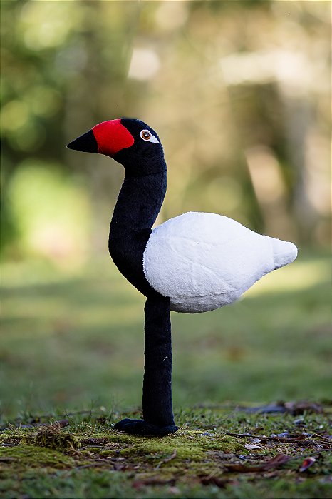 Pelúcia Cisne do Pescoço Preto