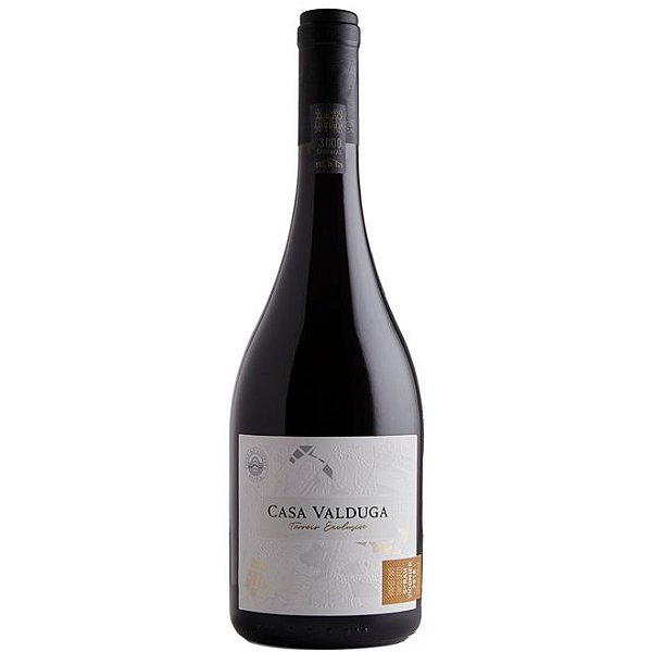 Casa Valduga - TERROIR EXCLUSIVO Syrah/Viognier - Tinto Seco 750 ml