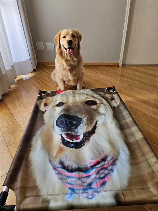 Cama suspensa personalizada