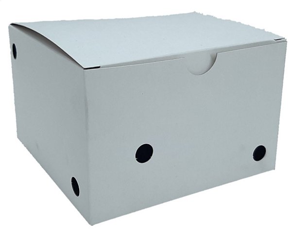 Embalagem para Hambúrguer sem Impressão [BRANCA] 100 unid