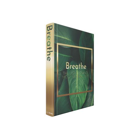 Livro Caixa ou Book Box Breathe 138323 30x24x4cm GoodsBr