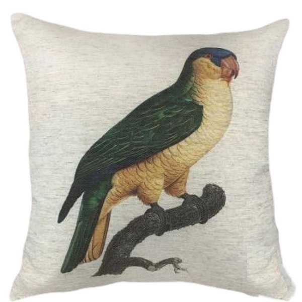 Almofada Passaro Falcão Do Peito Laranja 130-81 52x52cm Decortextil