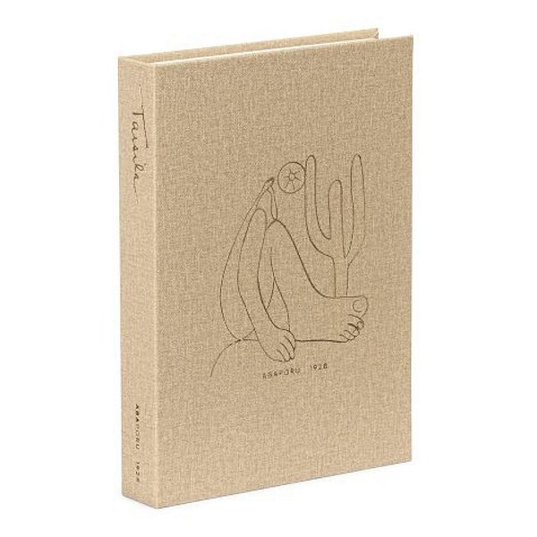 Livro Caixa Tarsila Do Amaral Abaporu 21704 25x18x4cm Mart