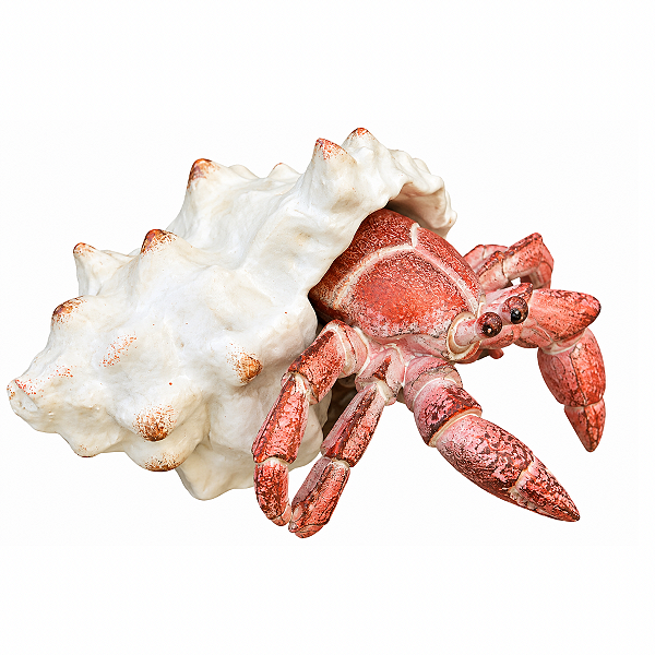 Escultura Decorativa Carangueijo 13X12X8CM Tuut