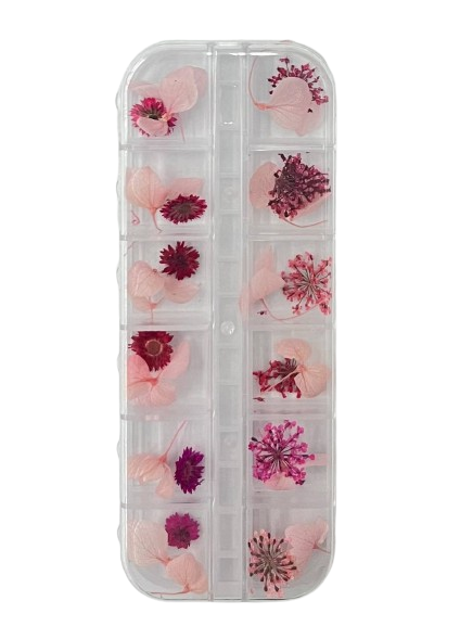 Flor Seca Rosa