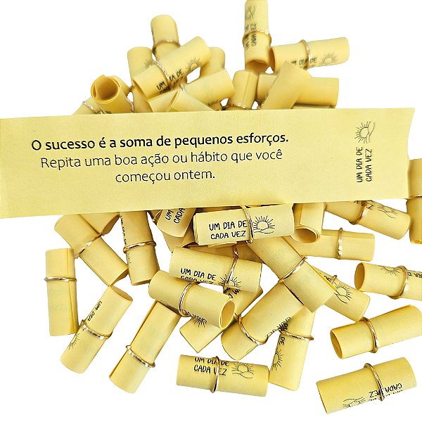 Motivacional Refil Rolinhos Mensagens Motivacionais - Um dia de cada Vez