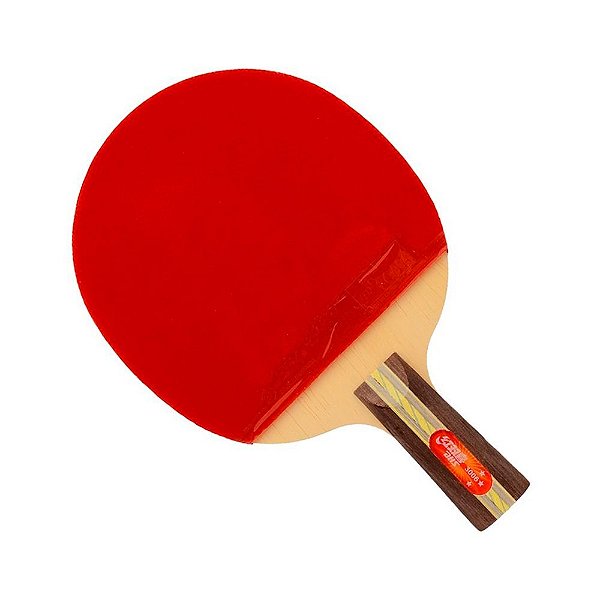 Raquete Tênis De Mesa 519 - Ping Pong