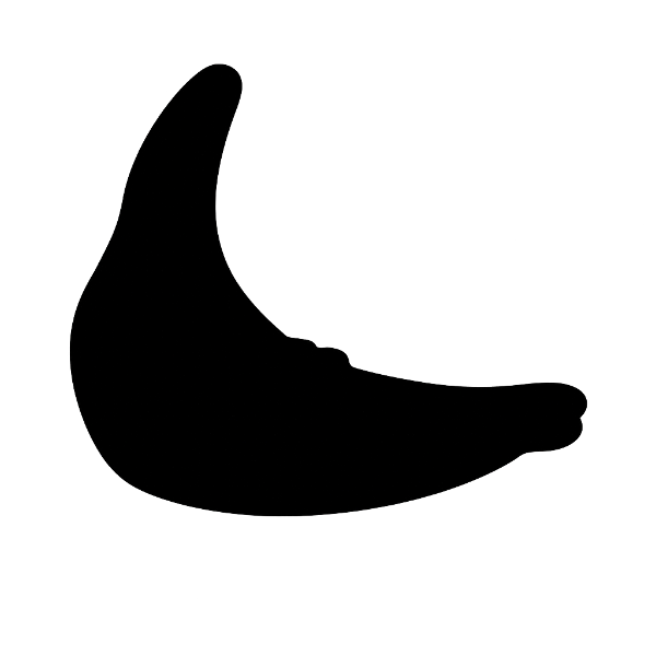 Borracha vedação tampa bagageiro Onibus monobloco O370 O371 O400