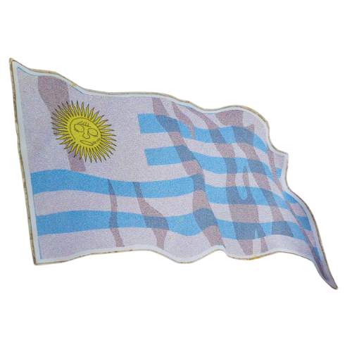 Adesivo externo lateral bandeira pais Argentina Onibus todos