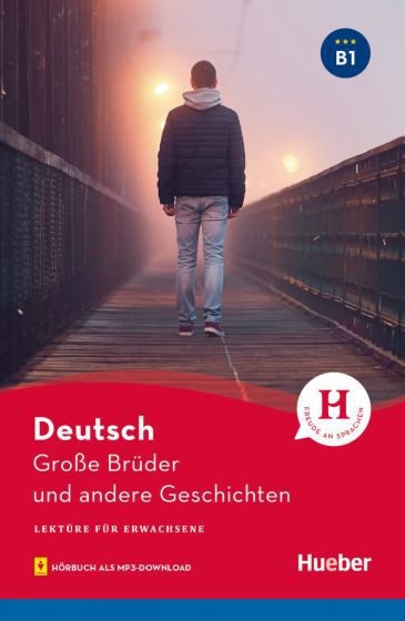 Lektüre für Erwachsene - Grosse Brüder und andere Geschichten