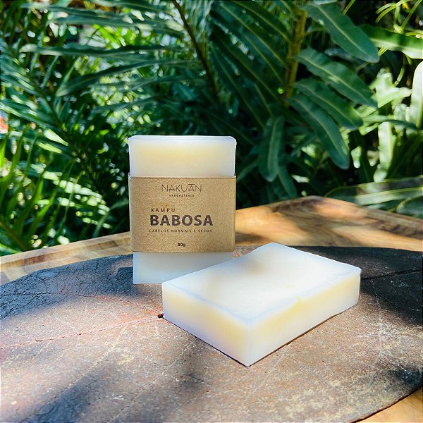 Shampoo Sólido de Babosa (Aloe Vera)