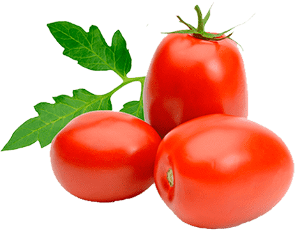 TOMATE SALADETE KG