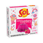 GELATINA SOL FRAMBOESA 20GR