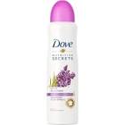 DESODORANTE AEROSOL DOVE FEMININO GO FRESH AMORA E